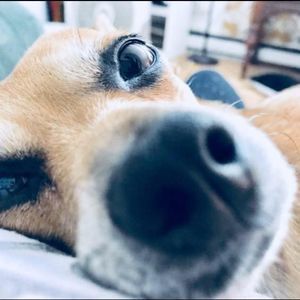 Meet your Posher, Meghan